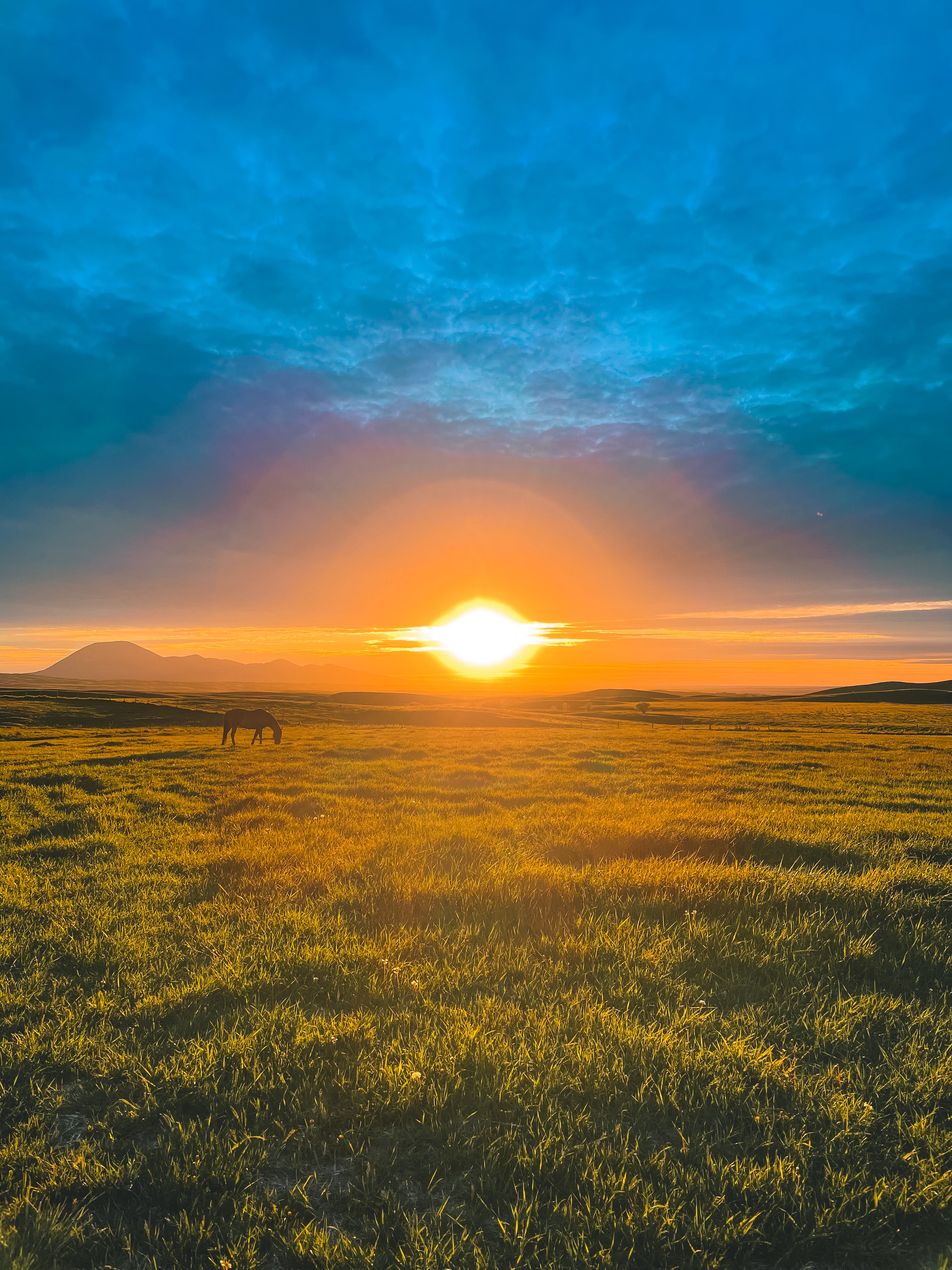 Montana Landscape 